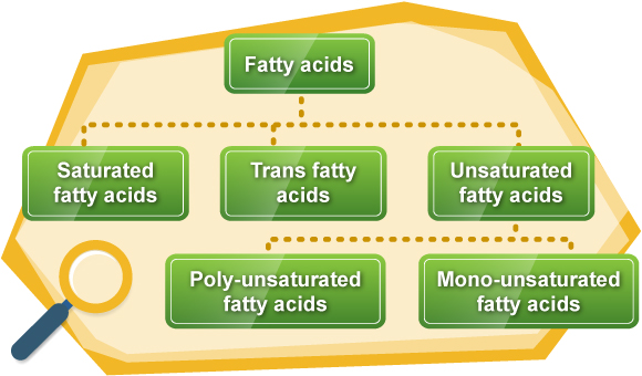 Classification of Fats