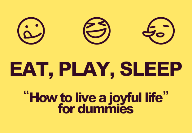 Eat, Play, Sleep - “How to live a joyful life” for dummies
