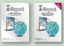  e-Report & Executive Summary