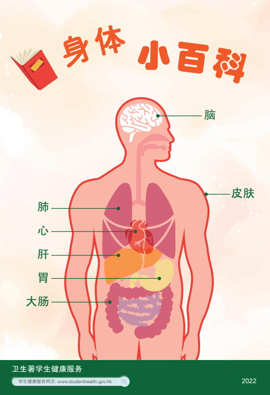 身体小百科