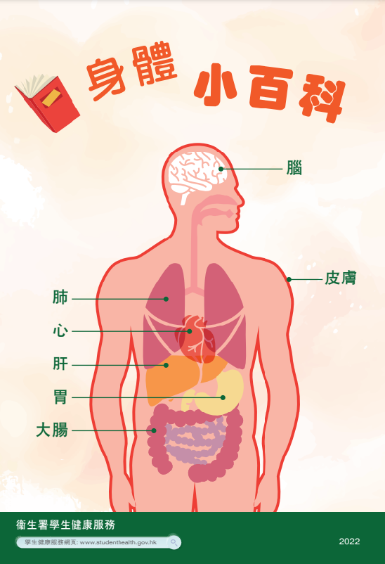 身體小百科
